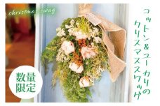 【11月下旬以降発送・数量限定】コットンとユーカリのクリスマススワッグ【インテリア おしゃれ 壁飾り プレゼント お花 ギフト ナチュラル クリスマス 水戸市 水戸 茨城県 10000円以内 1万円以内】（KW-2）