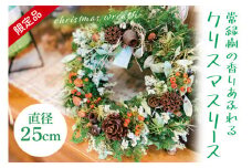 【11月下旬以降発送・数量限定】常緑樹の香りあふれるクリスマスリース（限定品）【インテリア おしゃれ 壁飾り プレゼント お花 ギフト ナチュラル クリスマス リース 水戸市 水戸 茨城県 10000円以内 1万円以内】（KW-3）