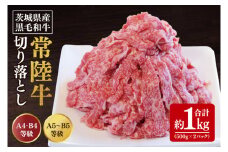 【数量限定】常陸牛切り落とし 約1㎏（500g×2p）【水戸市 牛肉 常陸牛 お肉 小分け 自家用におすすめ おいしい ブランド牛 ステーキ 数量 限定 スライス加工】（BG-20）