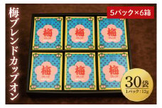 【梅ブレンドカップオン 30P】（5p×6箱）【サザコーヒー 1杯取りコーヒー ドリップ ドリップパック 深煎り 専門店の味 コーヒー 珈琲 ギフト 誕生日プレゼント グアテマラ エチオピア 日本三名園 偕楽園 水戸市 茨城県 30000円以内 3万円以内】（CD-15）
