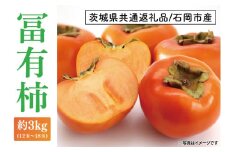 【茨城県共通返礼品/石岡市産】【2025年11月より順次発送】冨有柿 約3kg(12玉～18玉)【柿 かき カキ フルーツ 果物 ジューシー 水戸市 水戸 茨城県】（LO-1）