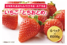 【茨城県共通返礼品/行方市産・水戸市産】【2026年1月より順次発送】いちご 「とちおとめ」 約260gパック×4【いちご 苺 イチゴ フルーツ 果物 ジューシー 水戸市 水戸 茨城県】（LO-2）