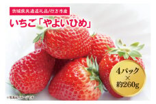 【茨城県共通返礼品/行方市産】【2026年1月より順次発送】いちご 「やよいひめ」 約260gパック×4【いちご 苺 イチゴ フルーツ 果物 ジューシー 水戸市 水戸 茨城県】（LO-3）
