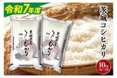 令和7年産茨城コシヒカリ5kg×2【新米 お米 こめ 米 こしひかり 茨城県 茨城県産 】（LL-5）