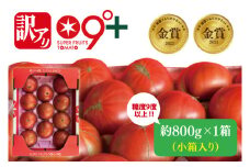 【先行予約・数量限定】【訳あり】スーパーフルーツトマト小箱約800g×1箱 【とまと フルーツトマト ブランドトマト 糖度9度以上 野菜 フレッシュ リコピン ビタミンE 野菜ソムリエ 茨城県】（LJ-3）