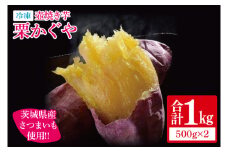 【12月より順次発送】冷凍 壺焼き芋 栗かぐや1㎏（500g×2）【さつまいも 芋 いも  焼き芋 焼芋 やきいも 茨城県 水戸市 水戸 5000円以内】（IN-15)