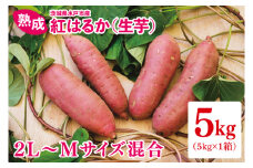 【12月より順次発送】熟成 紅はるか（生芋）2L～Mサイズ混合5kg【いも サツマイモ さつまいも 焼き芋 スイートポテト ふるさと納税 水戸市 水戸 茨城県 10000円以内 1万円以内】（IN-1)