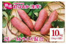 【12月より順次発送】熟成 紅はるか（生芋）2L～Mサイズ混合10kg【いも サツマイモ さつまいも 焼き芋 スイートポテト ふるさと納税 水戸市 水戸 茨城県 15000円以内】（IN-2)