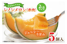 【4月下旬以降順次発送】【先行予約】【数量限定】レノンメロン（赤肉）２Ｌ玉５個入り（約５kg）【果物 くだもの フルーツ スイーツ 果肉 甘い 赤肉メロン ジューシー 水戸市 茨城県 】（KG-1）