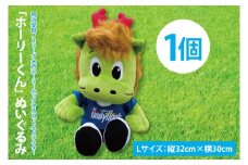 【数量限定】明治安田Ｊ2リーグ 水戸ホーリーホック マスコットキャラクター ホーリーくん Lサイズ ぬいぐるみ【サッカー サポーター スポーツ スポーツ観戦 観戦 グッズ 水戸市 水戸 茨城県】（FR-3）