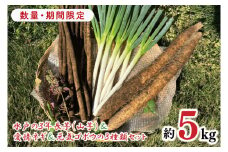 【数量限定】水戸の３年長芋（山芋）＆愛情ネギ＆元気ゴボウの３種類セット【茨城県産 野菜 やさい 野菜セット 水戸野菜 ごぼう 牛蒡 ながいも やまいも ねぎ 葱 国産 新鮮 産地直送 農家直送 生産者】（HD-2）