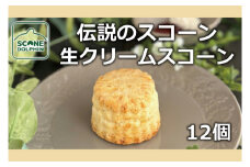 伝説 生クリームスコーン 12個【人気 看板商品 しっとり 冷凍 冷凍スコーン 本場 イギリス 焼き菓子 スイーツ 水戸市 水戸 茨城県 15000円以内】（AR-12）
