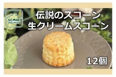 伝説 生クリームスコーン 12個【人気 看板商品 しっとり 冷凍 冷凍スコーン 本場 イギリス 焼き菓子 スイーツ 水戸市 水戸 茨城県 15000円以内】（AR-12）