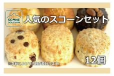 人気のスコーンアラカルト 12個【人気 しっとり 冷凍 冷凍スコーン おまかせ 本場 イギリス 焼き菓子 スイーツ 水戸市 水戸 茨城県 20000円以内 2万円以内】（AR-19）