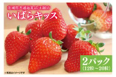 【離島配送不可】いばらキッス 2パック（12粒～20粒）【茨城県共通返礼品/石岡市】【いちご イチゴ 苺 果物 くだもの  フルーツ 茨城県オリジナル品種 茨城県 15000円以内】（LY-1）