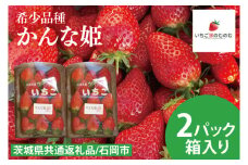 【数量限定】【離島配送不可】かんな姫 2パック/箱【茨城県共通返礼品/石岡市】【いちご イチゴ 苺 果物 くだもの  フルーツ 茨城県オリジナル品種 茨城県】（LX-3）