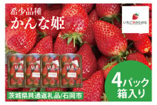 【数量限定】【離島配送不可】かんな姫 4パック/箱【茨城県共通返礼品/石岡市】【いちご イチゴ 苺 果物 くだもの  フルーツ 茨城県オリジナル品種 茨城県】（LX-4）