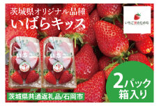 【数量限定】【離島配送不可】いばらキッス 2パック/箱【茨城県共通返礼品/石岡市】【いちご イチゴ 苺 果物 くだもの  フルーツ 茨城県オリジナル品種 茨城県】（LX-1）