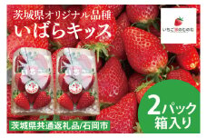 【数量限定】【離島配送不可】いばらキッス 2パック/箱【茨城県共通返礼品/石岡市】【いちご イチゴ 苺 果物 くだもの  フルーツ 茨城県オリジナル品種 茨城県】（LX-1）