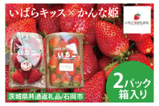 【数量限定】【離島配送不可】いばらキッス×かんな姫 2パック/箱【茨城県共通返礼品/石岡市】【いちご イチゴ 苺 果物 くだもの  フルーツ 茨城県オリジナル品種 茨城県】（LX-5）