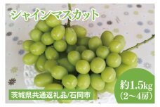 【先行予約】【2025年９月上旬～10月中旬発送】シャインマスカット約1.5kg（２～４房）【茨城県共通返礼品/石岡市】（MF-6）