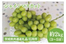 【先行予約】【2025年９月上旬～10月中旬発送】シャインマスカット約２kg（３～５房）【茨城県共通返礼品/石岡市】（MF-7）