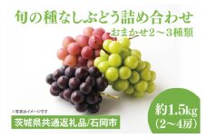【先行予約】【2025年９月上旬～10月中旬発送】旬の種なしぶどう詰め合わせ　1.5kg（２～４房）【茨城県共通返礼品/石岡市】【ブドウ 巨峰 ビオーネ 伊豆錦 ゴルビー セット 安芸クイーン フルーツ 果物 くだもの 水戸市 水戸】（MF-1）