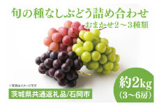 【先行予約】【2025年９月上旬～10月中旬発送】旬の種なしぶどう詰め合わせ　２kg（３～６房）【茨城県共通返礼品/石岡市】【ブドウ 巨峰 ビオーネ 伊豆錦 ゴルビー セット 安芸クイーン フルーツ 果物 くだもの 水戸市 水戸】（MF-2）