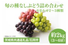 【先行予約】【2025年９月上旬～10月中旬発送】旬の種なしぶどう詰め合わせ　２kg（３～６房）【茨城県共通返礼品/石岡市】【ブドウ 巨峰 ビオーネ 伊豆錦 ゴルビー セット 安芸クイーン フルーツ 果物 くだもの 水戸市 水戸】（MF-2）