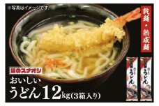 【麺のスナオシ】水戸発　おいしいうどん３箱　計12kg（200ｇ×60袋）（乾麺）【饂飩 麺 長期保存 保存食 防災 人気 大容量 水戸市 茨城県】（BY-16）