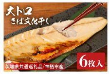 大トロさば文化干し １枚真空6パック【茨城県共通返礼品　神栖市】【サバ 鯖 一夜干し 干物 ソフト 人気 おかず おつまみ】（LZ-1）