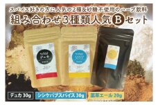 スパイス好きの方に人気の２種と砂糖不使用のハーブ飲料の組み合わせ３種類おススメBセット【調味料 スパイス デトックス ソルト ハーブソルト 抗酸化 薬草エール ハーブ飲料】（MK-2）