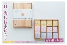 【数量限定】一日一梅 12粒木箱入り（梅干３種 ×各４個）【梅干 梅干し うめぼし 水戸市 茨城県】（CU-3）