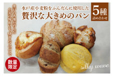 【数量限定】水戸産小麦粉をふんだんに使用した贅沢な大きめのパン５種詰め合わせ【総菜パン 菓子パン 食事パン冷凍 水戸市 茨城県】（ LS-1）