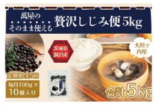 【5ヶ月定期便】涸沼産 冷凍しじみ 中粒１kg（100g×10p）【シジミ 中粒しじみ 産地直送 砂抜き済み 砂抜き 小分け包装 味噌汁 みそ汁 水戸市 茨城県】（CA-6）