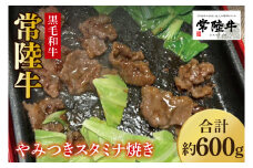 【数量限定】イチオシ！！常陸牛やみつきスタミナ焼600g【牛肉 和牛 ブランド牛 常陸牛 パーティ BBQ バーベキュー 水戸市 茨城県】(MJ-2)