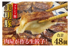 【数量限定】肉屋が作る美明豚生餃子24個入 2パック【ブランド豚 国産 焼き餃子 冷凍 ぎょうざ ギョーザ 冷凍餃子 簡単調理 惣菜 おかず 水戸市 水戸 茨城県】（MJ-5）