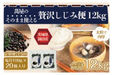【6ヶ月定期便】涸沼産冷凍しじみ中粒２kg（100g×20p）【シジミ 中粒しじみ 産地直送 砂抜き済み 砂抜き 小分け包装 味噌汁 みそ汁 茨城県】（CA-13）