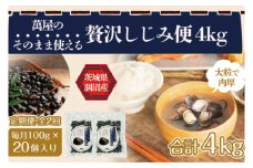 【2ヶ月定期便】涸沼産冷凍しじみ中粒２kg（100g×20p）【シジミ 中粒しじみ 産地直送 砂抜き済み 砂抜き 小分け包装 味噌汁 みそ汁 茨城県】（CA-9）