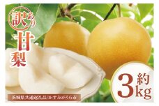 【8月中旬より発送】【数量限定】訳あり 甘梨（なし） 約3㎏【茨城県共通返礼品／かすみがうら市】【茨城県 水戸市 ふるさと納税 果物 くだもの フルーツ 梨 ナシ なし 採れたて 新鮮 完熟 期間限定 共通返礼品】（FW-8）