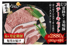 【6ヶ月定期便】【常陸牛 A5ランク・美明豚ステーキセット】常陸牛サーロインステーキ200g＋美明豚ロースステーキ280g（140g×２枚） 冷凍 国産牛 和牛 牛肉 豚肉　ブランド豚 茨城県 水戸市 食べ比べ セット商品 国産 老舗精肉店 (EK-18_2)