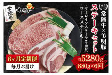 【6ヶ月定期便】【常陸牛 A5ランク・美明豚ステーキセット】常陸牛サーロインステーキ600g（300g×２枚）＋美明豚ロースステーキ280g（140g×２枚） 冷凍 国産牛 和牛 牛肉 豚肉　ブランド豚 茨城県 水戸市 食べ比べ セット商品 国産 老舗精肉店(EK-20_2)