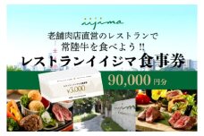 レストラン 食事券 水戸 茨城県 創業45年 レストランイイジマ 常陸牛 ディナー ランチ クーポン 寄付 30万円 9万円分 和牛 優待券 お食事券 体験 洋食 夫婦 返礼品 ギフト 故郷納税 お祝い（DU-137）