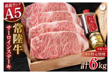 【6ヶ月定期便】サーロインステーキ 250g×4枚（DU-147）