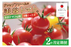 【2ヶ月定期便】【11月より順次発送】ドロップファームの美容トマトおまかせ2kg箱(４種ミックス)【とまと フルーツトマト 野菜ソムリエ 栄養士 アイコ イエローアイコ 小鈴 フルティカ 野菜 フレッシュ 水戸市 茨城県】（CK-17）