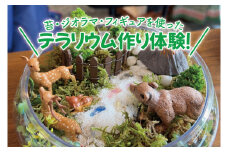 苔（コケ）とジオラマ、フィギュアを使ったテラリウム作り体験！【苔テラリウム ハンドメイド ワークショップ オリジナル 水戸市 茨城県】（MW-1）