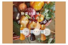 【野菜が美味しく食べられる】自家製ドレッシング3点詰め合わせ【自家製 ドレッシング 野菜 サラダ にんじん 玉ねぎ 和風 サウザンドレッシング 水戸市 茨城県】（DE-4）
