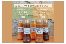 【野菜が美味しく食べれるドレッシング３種】＆【様々な料理に使える万能ソース２種】詰め合わせ【自家製 ドレッシング ソース 野菜 サラダ にんじん 玉ねぎ 和風 サウザンドレッシング ステーキソース 焼肉たれ 水戸市 茨城県】(DE-5）