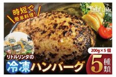 リトルリンダの冷凍ハンバーグ5種類入り(200g×5)ギフトボックス【常陸牛 国産牛 味わいポーク 時短 簡単料理 水戸市 茨城県】(NC-1)