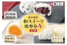 【3ヶ月定期便】亀印製菓 和スイーツ頒布会A【全3回】 ごろごろ豆大福 ゆず香るみかん大福 ふわふわクリーミー生大福プレーン 各6個入【フルーツ 大福 餅 スイーツ あんこ みかん ゆず クリーム おやつ 手土産 お取り寄せ ギフト 贈答 冷凍 茨城県 水戸市】(MP-17)